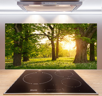 Spatplaat keuken Bomen in het park