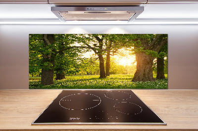 Spatplaat keuken Bomen in het park