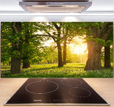 Spatplaat keuken Bomen in het park