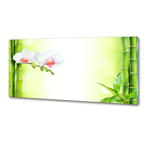 Glazen achterwand keuken Orchidee en bamboe