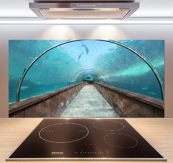 Keuken achterwand Aquariumtunnel
