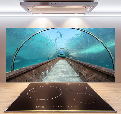 Keuken achterwand Aquariumtunnel