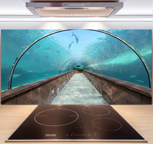 Keuken achterwand Aquariumtunnel