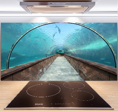 Keuken achterwand Aquariumtunnel