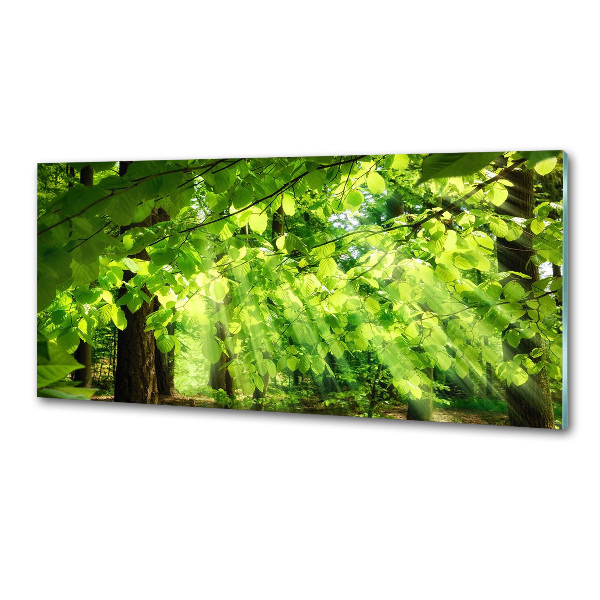 Achterwand keuken Beukenbladeren