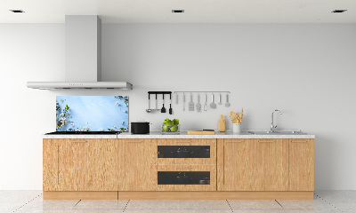 Glazen achterwand keuken Achtergrond met kersenbloesems