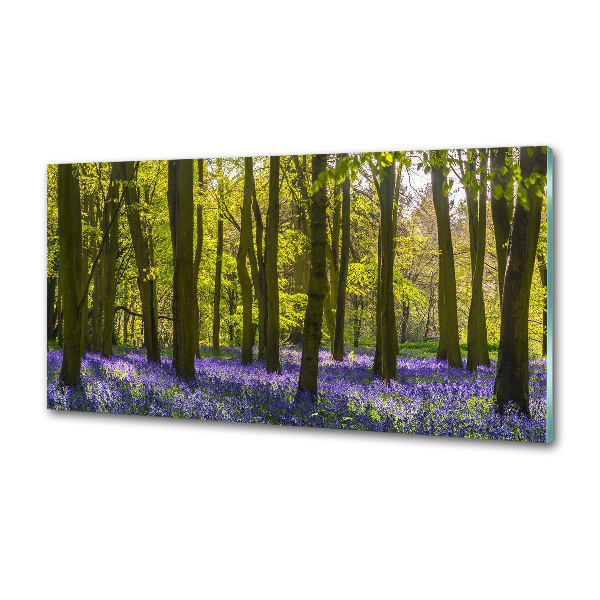 Achterwand keuken Bos in de lente