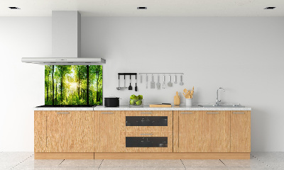 Spatscherm keuken Bos in de zon