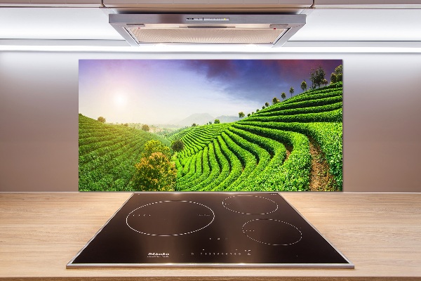 Keuken achterwand theeplantage