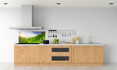 Keuken achterwand theeplantage