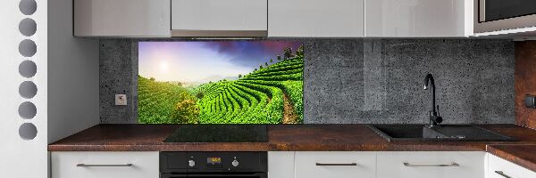 Keuken achterwand theeplantage