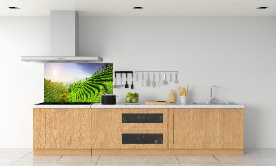 Keuken achterwand theeplantage