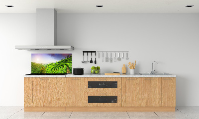 Keuken achterwand theeplantage