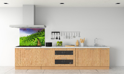 Keuken achterwand theeplantage
