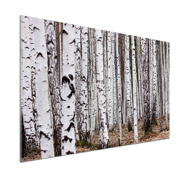 Achterwand keuken Berk