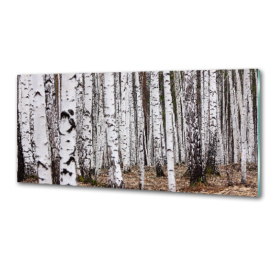 Achterwand keuken Berk