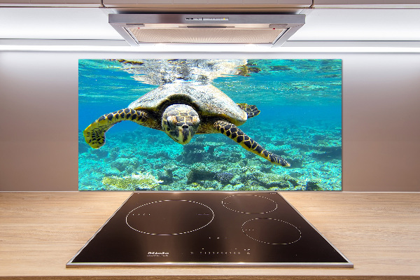 Achterwand keuken Zeeschildpad