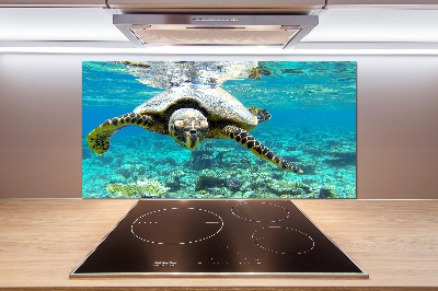 Achterwand keuken Zeeschildpad
