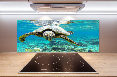 Achterwand keuken Zeeschildpad