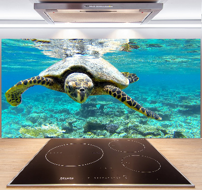 Achterwand keuken Zeeschildpad