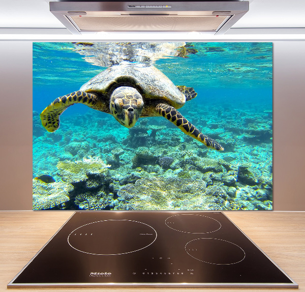 Achterwand keuken Zeeschildpad