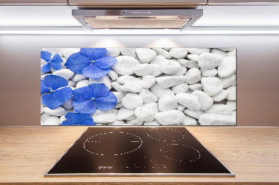 Spatplaat keuken Hortensia