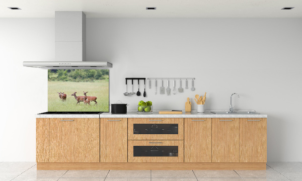 Spatplaat keuken Ree met jongen