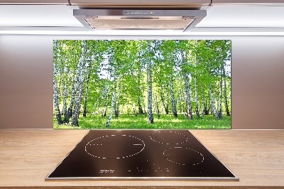 Glazen achterwand keuken Berken