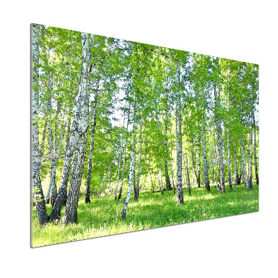 Glazen achterwand keuken Berken