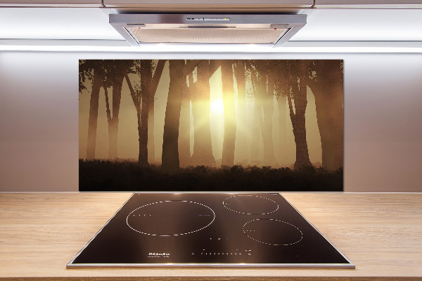 Spatplaat keuken Mist in het bos