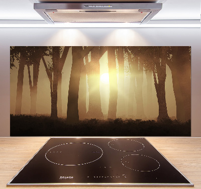 Spatplaat keuken Mist in het bos