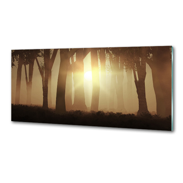 Spatplaat keuken Mist in het bos