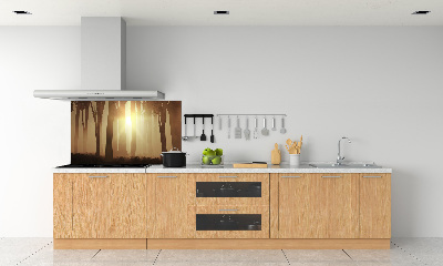 Spatplaat keuken Mist in het bos