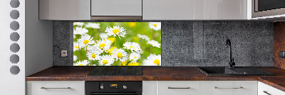 Keuken achterwand Madeliefjes