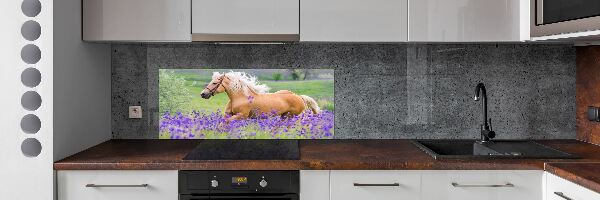 Keuken achterwand Een paard in een lavendelveld