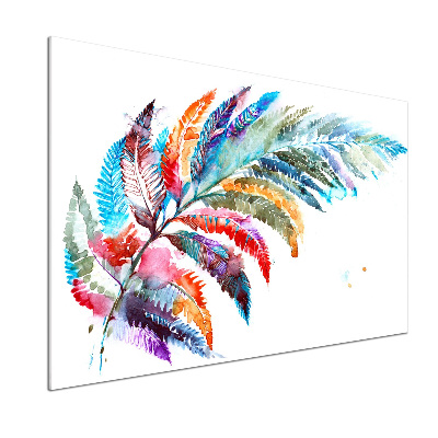 Spatscherm keuken Kleurrijke veer