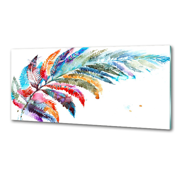 Spatscherm keuken Kleurrijke veer