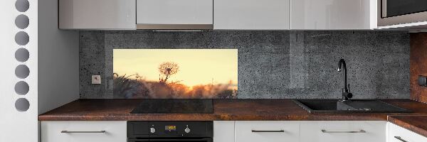 Glazen achterwand keuken Paardebloem