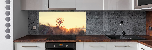 Glazen achterwand keuken Paardebloem