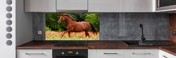 Achterwand keuken Een paard in een veld vol klaprozen