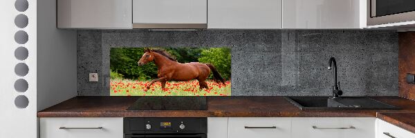 Achterwand keuken Een paard in een veld vol klaprozen