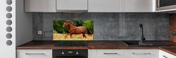 Achterwand keuken Een paard in een veld vol klaprozen