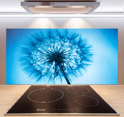 Spatscherm keuken Paardebloem