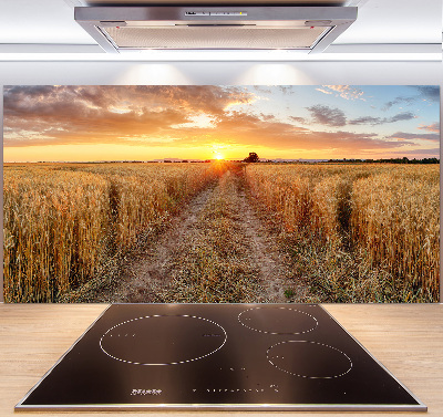 Spatplaat keuken Tarweveld