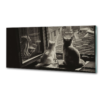 Spatscherm keuken Katten voor het raam