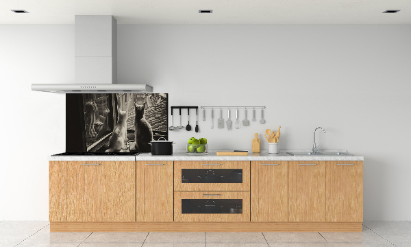 Spatscherm keuken Katten voor het raam