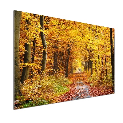 Glazen achterwand keuken Bos in de herfst