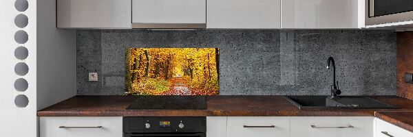 Glazen achterwand keuken Bos in de herfst