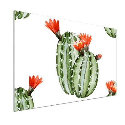 Spatplaat keuken Cactussen