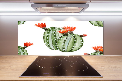 Spatplaat keuken Cactussen